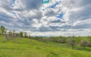 Casă cu teren de 17.681 mp, în loc. Hălmăgel, Arad - Poză 17