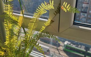 Apartament 3 Camere | Crangasi | Proximitate Metrou| Centrala Proprie - Poză 3