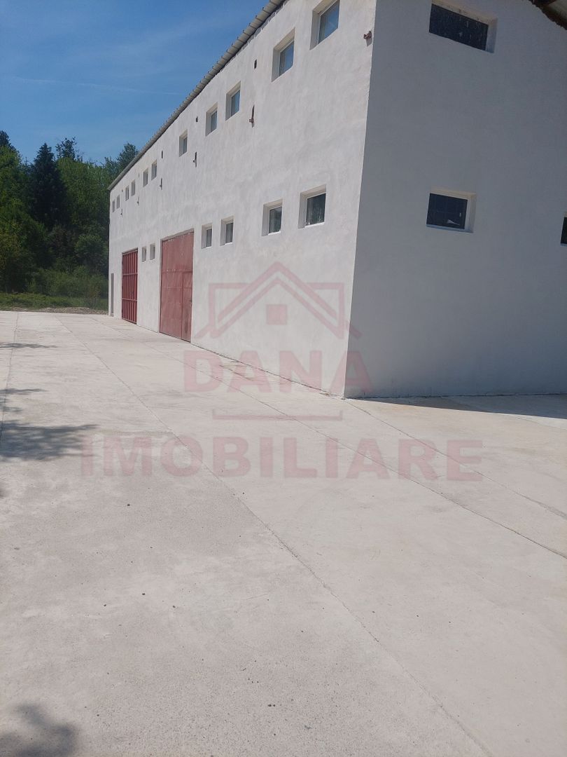 HALĂ DE VÂNZARE SAU ÎNCHIRIERE, ÎN  LOC.. BĂUȚAR, JUD. CARAȘ-SEVERIN - Poză 3