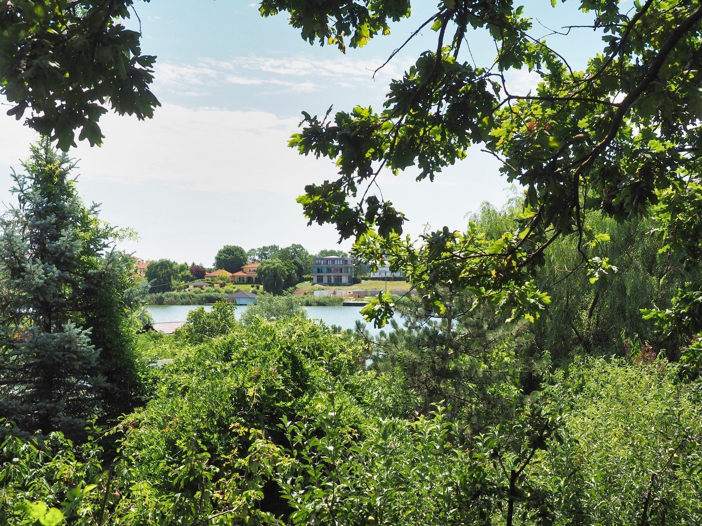 Vila 6 camere-teren 1800mp-Snagov Izvorani-lac - Poză 13