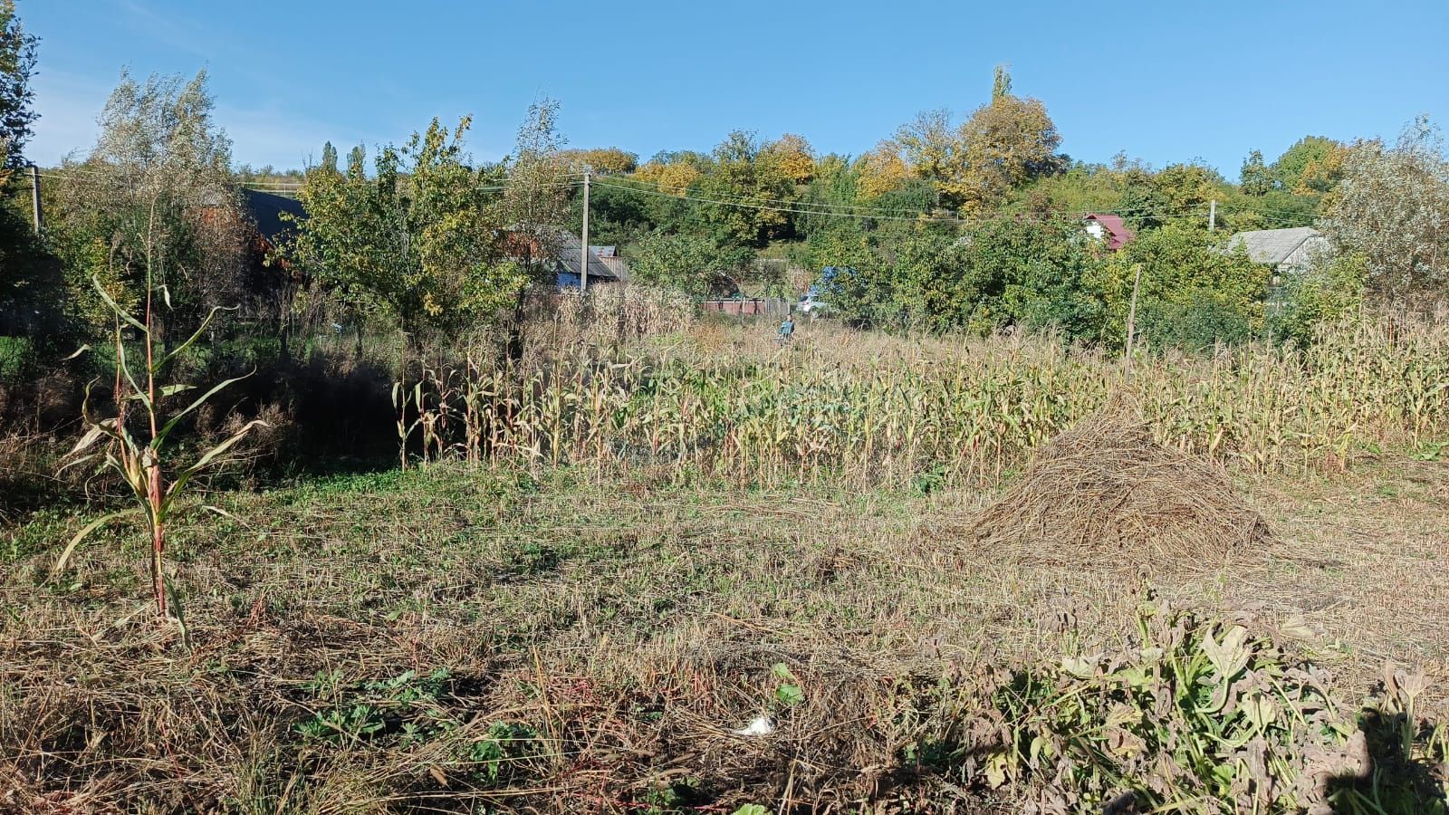 Teren intravilan Horodniceni/Suceava - Poză 3