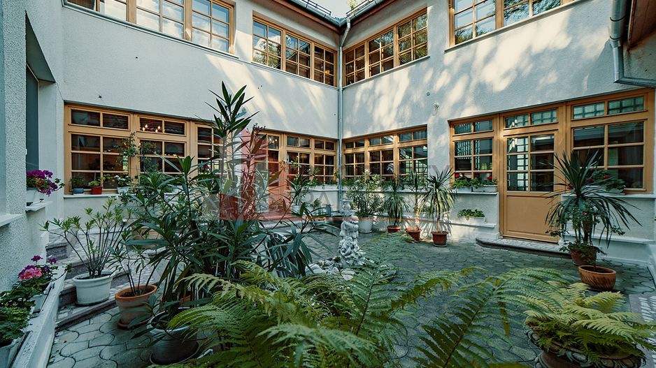 Vila superba langa Castelul Bran - Poză 15