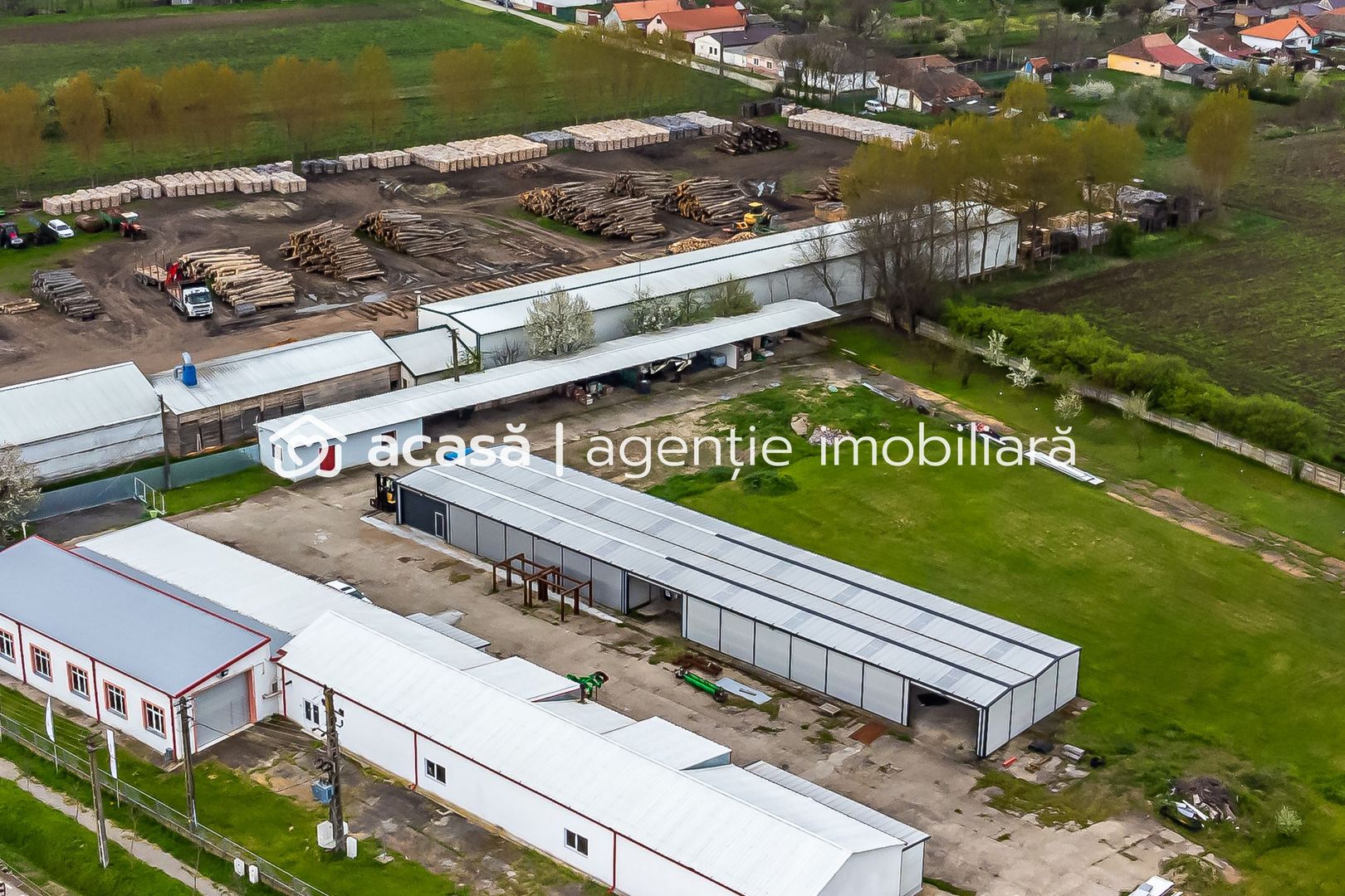 Hale depozitare/producție 2.000 mp si 10.000 mp teren în Pecica - Poză 2