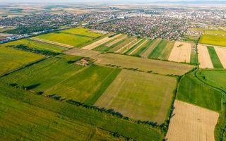Teren de 10.000 mp situat în Bujac, Arad - Poză 5