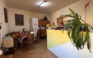 CASA SINGUR IN CURTE CU TEREN GENEROS | PIATA CLUJ | TEREZIAN - Poză 8