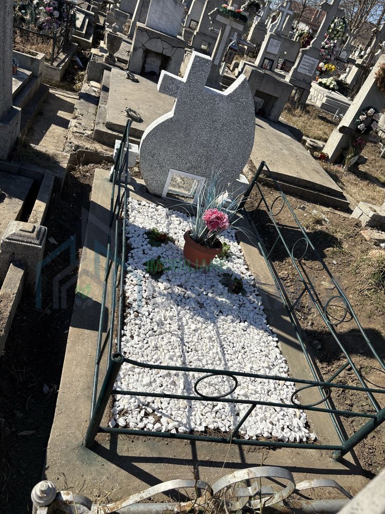Loc de veci în Cimitirul Eternitatea, Iași - Poziție excelentă - Poză 2