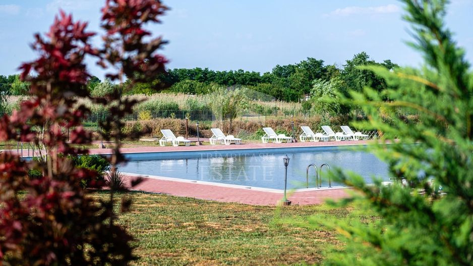 Sala de evenimente cu  piscina si foisor Biled COMISION 0 % CUMPARATOR - Poză 16