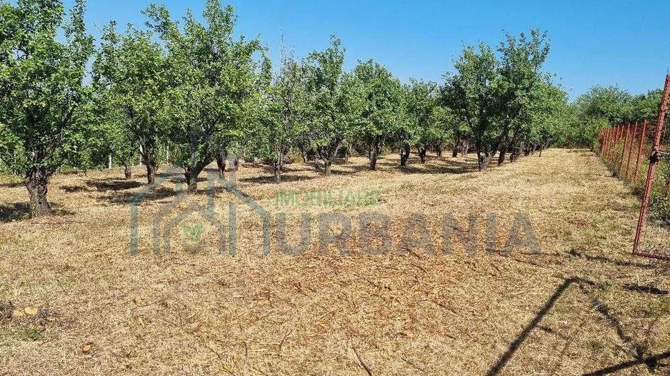 1600 mp teren in Barnova sat Pietrarie pe deal deasupra Primariei. - Poză 2