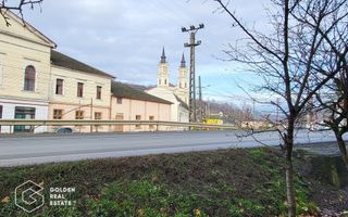 Proprietate tip conac, teren 4468 mp, oras Lipova - Poză 4