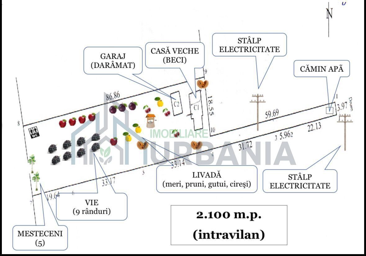Teren (pt casa) intravilan - vie, livada, utilități - Poză 1