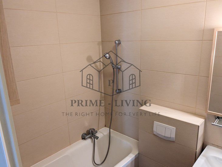 APARTAMENT COCHET CU 1 DORMITOR LA INCHIRIERE LANGA PARC HERASTRAU - Poză 5
