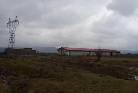 spațiu industrial Sacalaseni judet Maramures - Poză 4