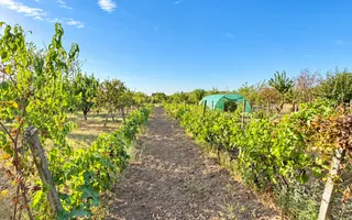 Casa cu doua corpuri de cladire in Masca, com Siria, comision 0% - Poză 14