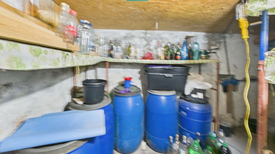 Casa cu potential multiplu in Curtici - Poză 25
