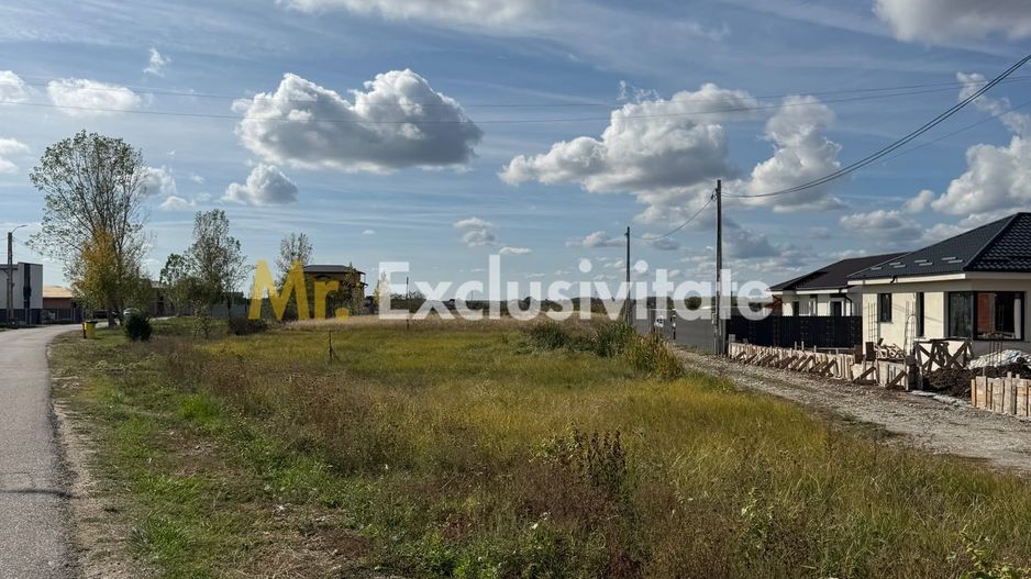TEREN INTRAVILAN 3 LOTURI | 1.334 MP | BRADU | POTENȚIAL INVESTIȚIONAL - Poză 2