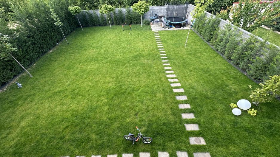 PROIECT  DEOSEBIT  IN  DUMBRAVITA - Poză 30