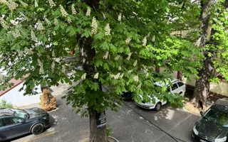 Apartament 2 camere ultracentral - Poză 14