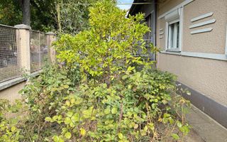 Casa Lipovei, pozitie excelenta - Poză 7