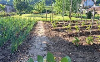 Teren intravilan de vanzare, Ciugud - Poză 3