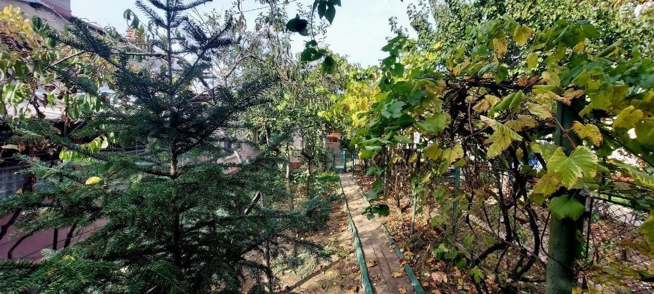 Proprietar casa individuala Bucurestii Noi-Aeromodelului- FARA AGENTII - Poză 11