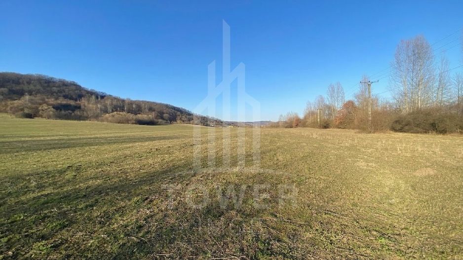 Teren de 7.500 mp de vânzare în Bradu, Avrig-COMISION 0% – lângă râul Olt. - Poză 6