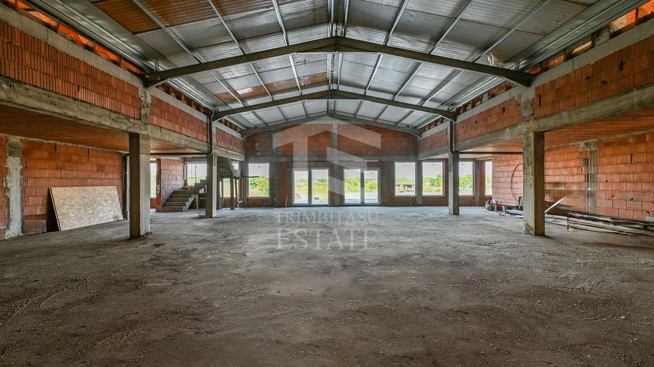 Sala de evenimente cu  piscina si foisor Biled COMISION 0 % CUMPARATOR - Poză 33