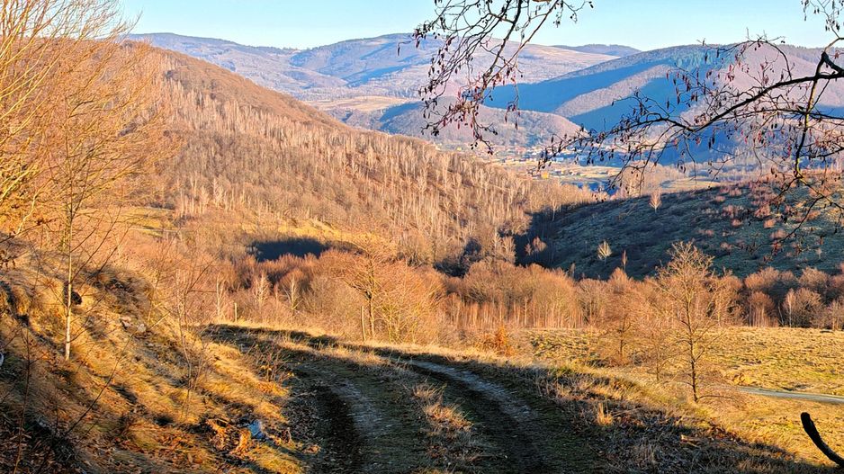 2,2 Ha TEREN INTRAVILAN PANORAMIC, in Muntii Apuseni NEGRENI – CLUJ - Poză 9
