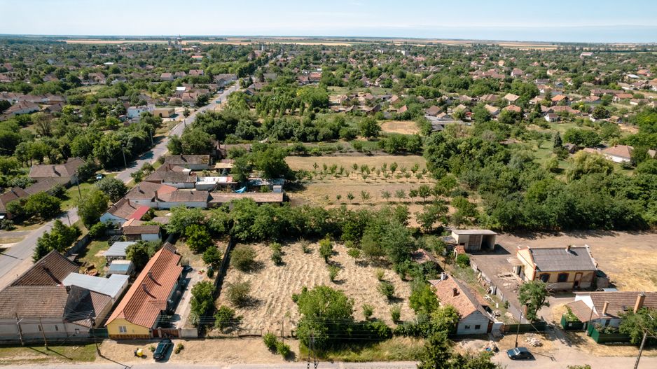 Casă cu teren 3332mp în Bătania - Poză 17