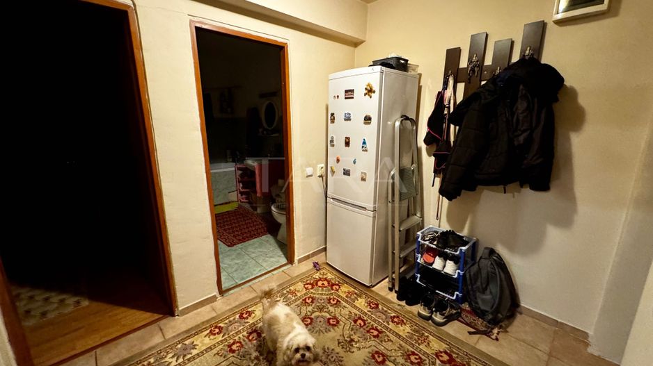 Apartament 2 camere, Florești, zona Terra - Poză 4