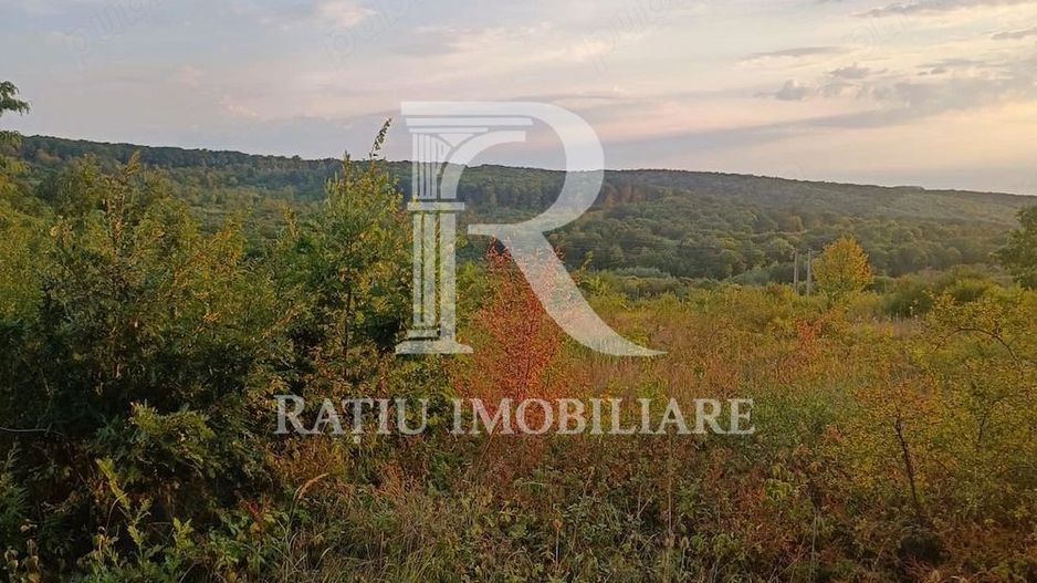Teren de vanzare | Hidiselul de Sus | Bihor - Poză 5
