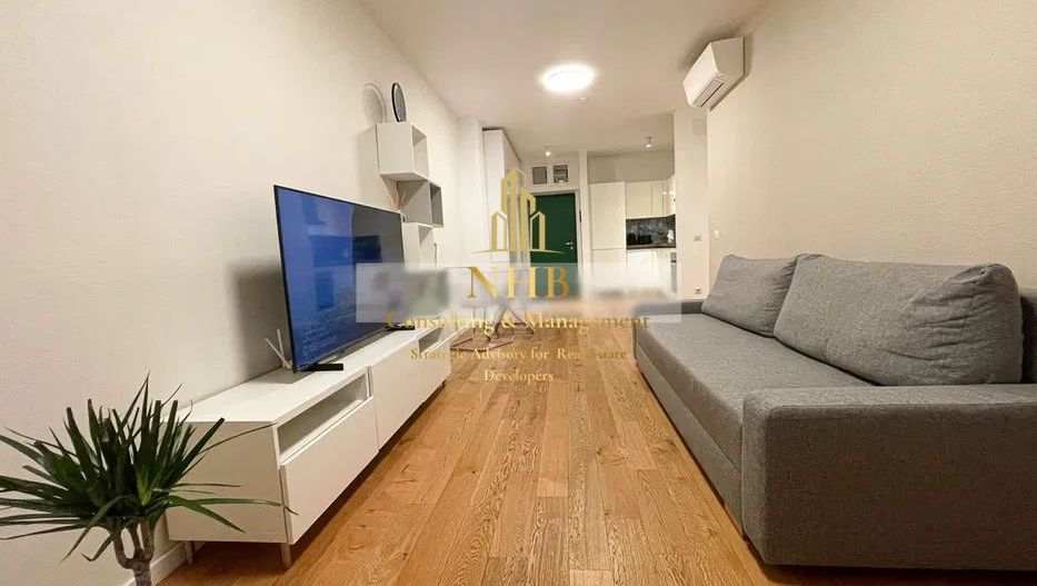 Apartament 2 camere Aviatiei Park Herastrau, Mobilat & Utilat - Poză 6