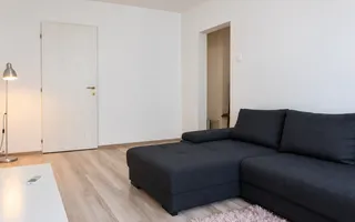 Apartament cu 3 camere de vanzare in zona Radovanu/Colentina - Poză 12