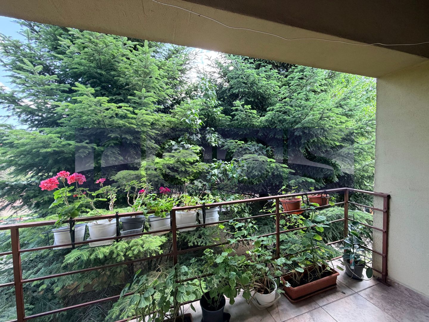 VANZARE VILA 280 MP UTILI | TEREN 900 MP | 5 CAMERE | VOLUNTARI - Poză 15