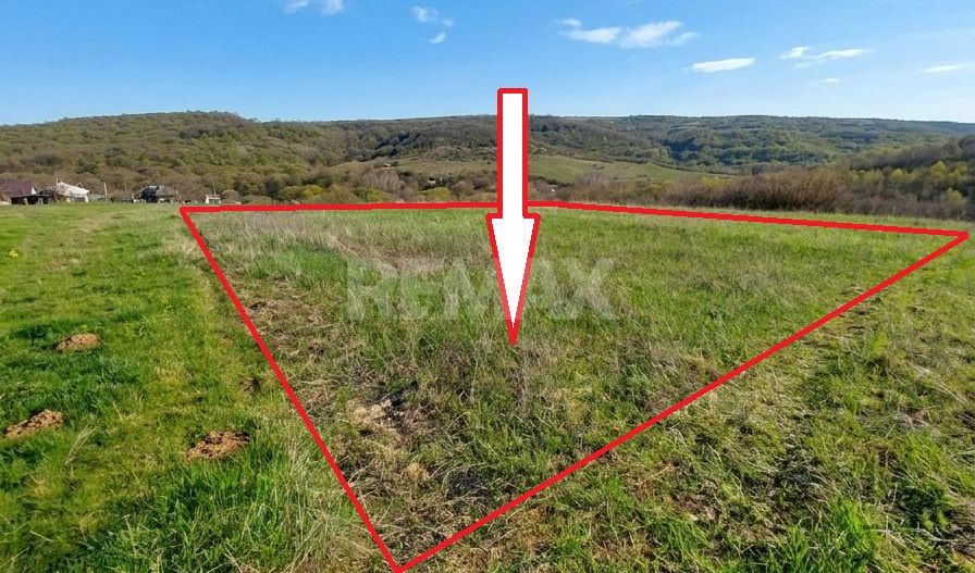 Tabăra/Orhei | 11,62 ari | Teren în inima Codrilor – Ideal pentru evadare în natură sau investiție - Poză 1