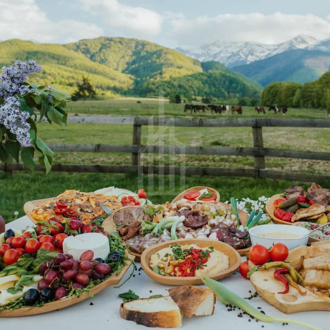 Complex Turistic- Valea Avrigului – 3,5 mil. € | Avans 500.000 € | Rate 15 ani - Poză 12