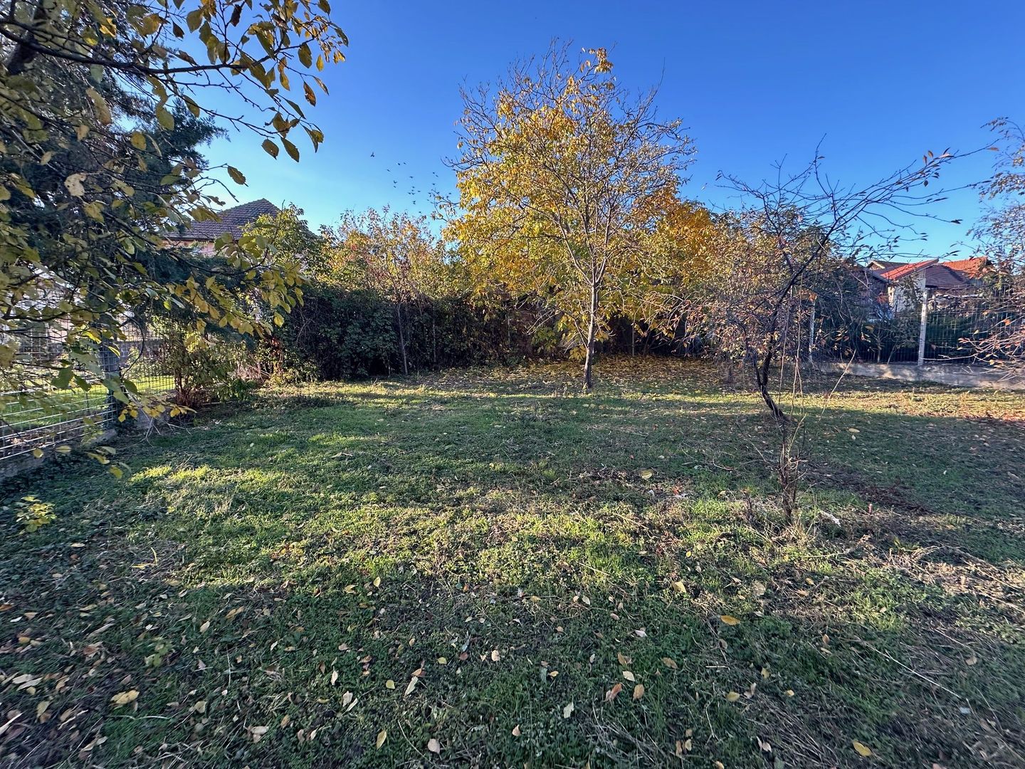 Casa Parter in Giarmata  teren 816 mp - Poză 8