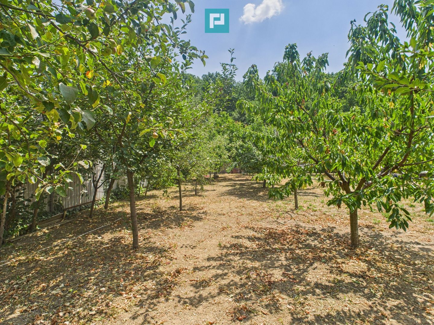 Teren edificabil 1106 mp – Dumbrăvița - Poză 7