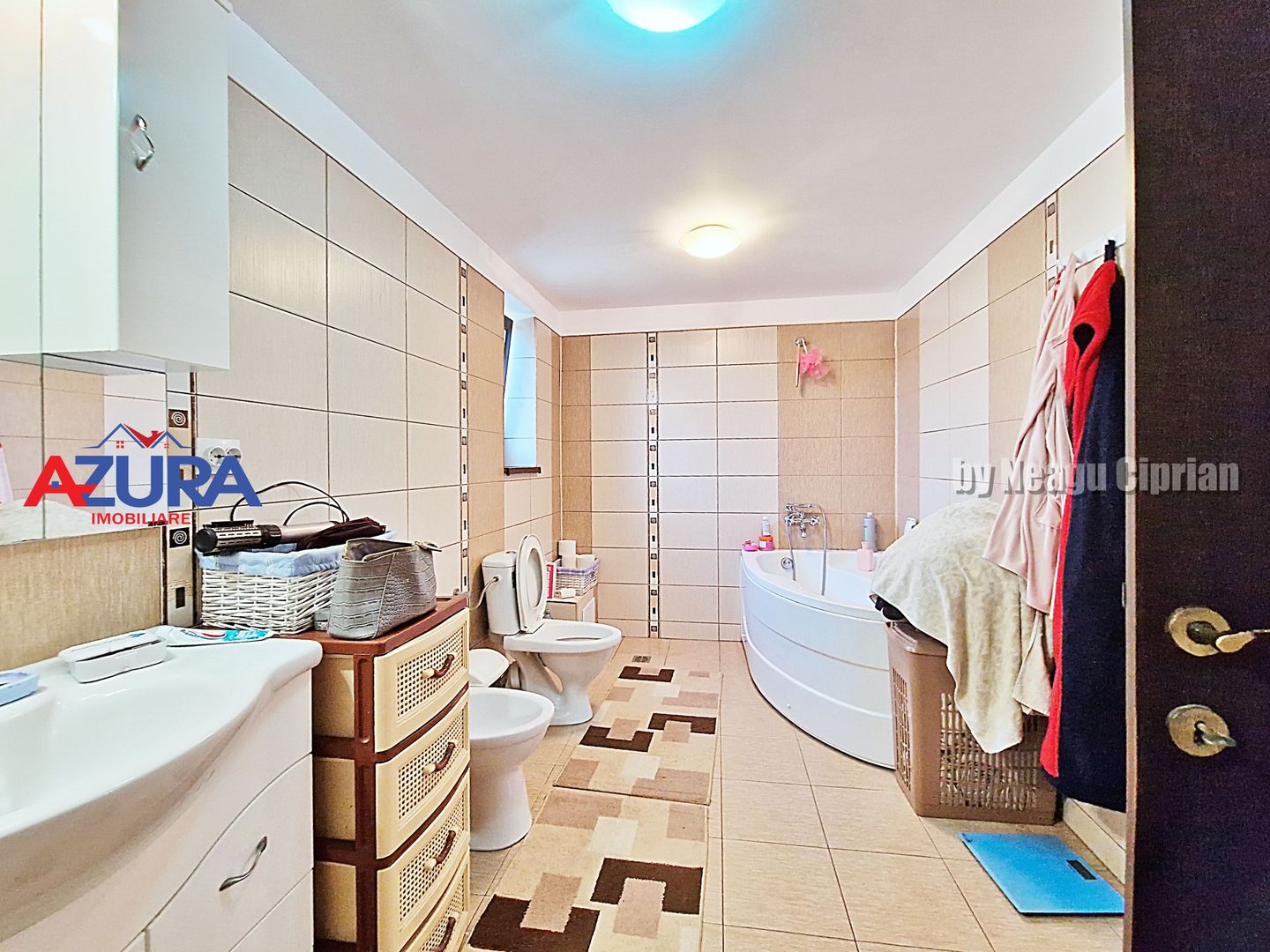 AZURA Imobiliare - 2 Case, 1 Camin - Smeura 250 m din DN zona Hintesti - Poză 13