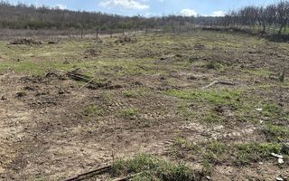 Terenuri intravilan în satul Vladiceni, comuna Tomești - Poză 7