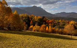 Teren Bran-Tohanita loturi intre 500/1000 mp - Poză 1