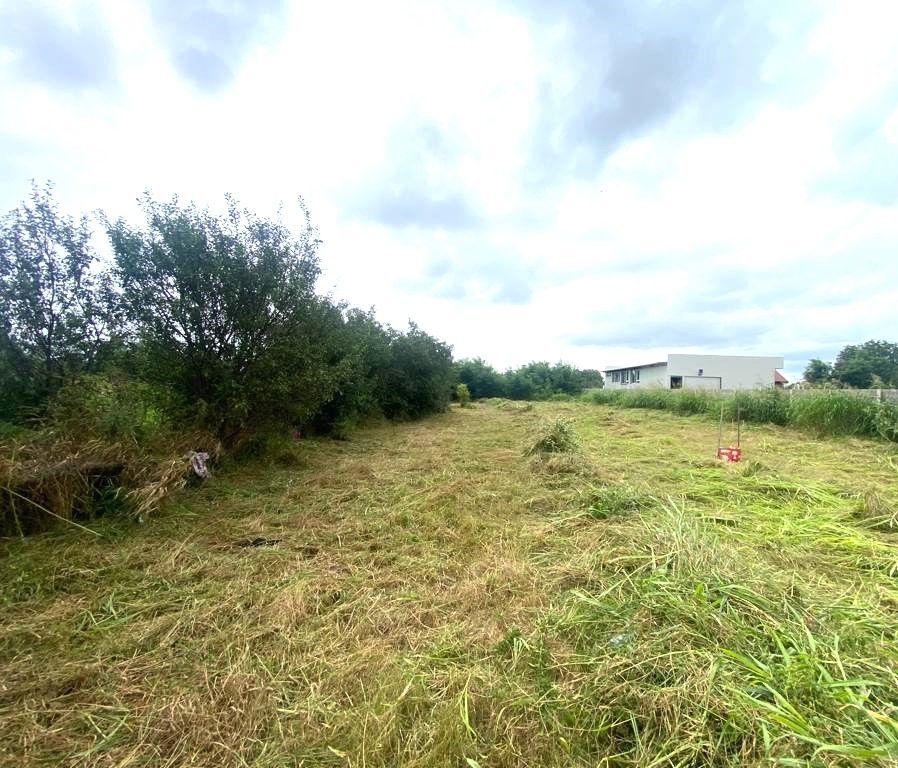 Terenuri de vânzare Costeiu - Poză 3