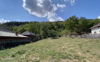 Teren 4000 mp intravilan loc. Aninoasa, jud Arges. Comision 0% - Poză 1