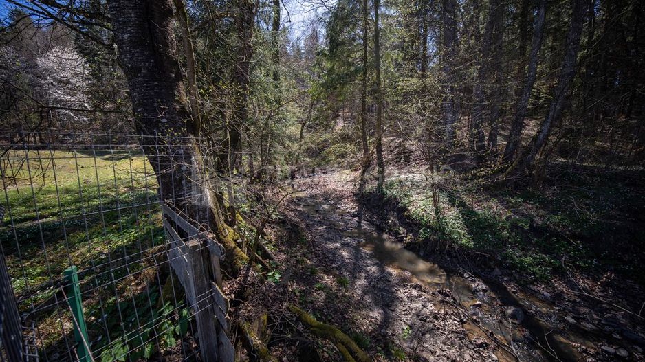 Teren intravilan, pretabil pentru casa de vacanta, 2000 mp - Poză 18