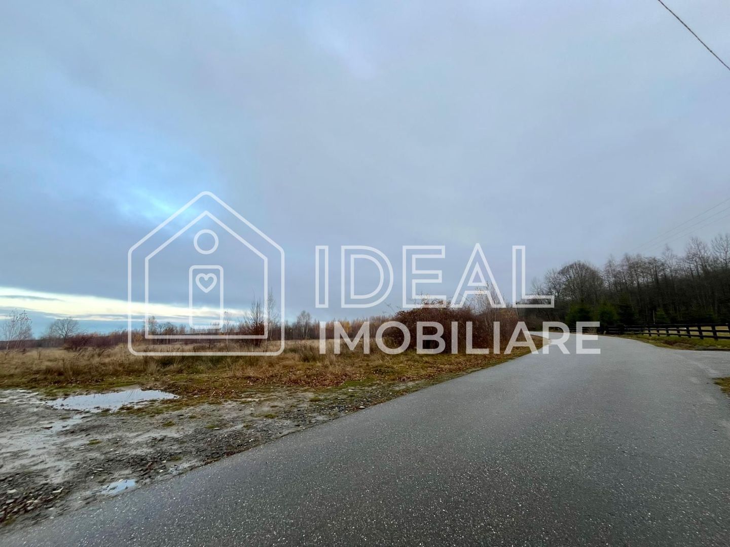 Teren extravilan 6.500 mp – Cârțișoara | Comision 0% - Poză 1