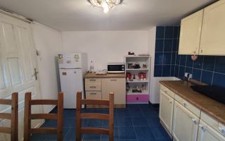 Vila de inchiriat/ Spatiu comercial.(etaj1/mansarda) Domenii - Poză 20