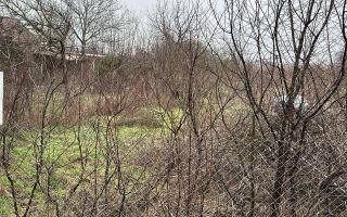 Teren intravilan de vânzare – 5.986 mp, Ciofliceni, Snagov (Ilfov) - Poză 3