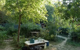 Vânzare teren intravilan Dărăști-Vlașca - Poză 11