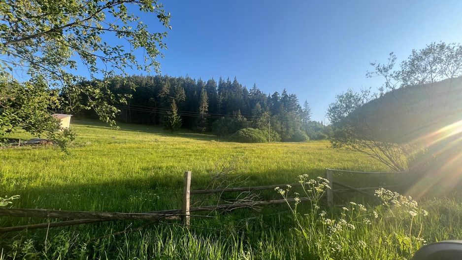 50 hectare teren | Moldova-Sulita | Potential turistic si agricol - Poză 8