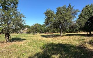 Teren Intravilan de Vânzare în Picioru Lupului - Poză 3