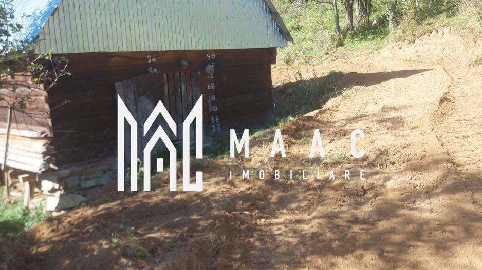 Super ofertă 35000 teren in Muntii Apuseni - Poză 29